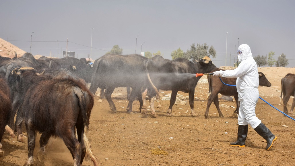 توصيات عاجلة للعراقيين تلافيا من الإصابة بمرض خطير