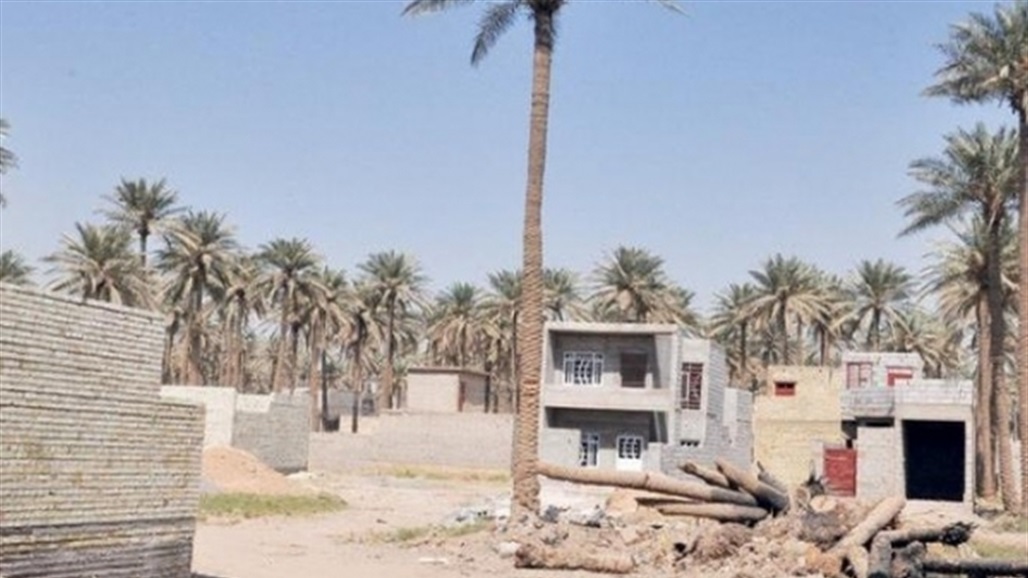 تفاصيل جديدة بشأن تمليك الأراضي الزراعية لساكنيها.. اليكم التعليمات